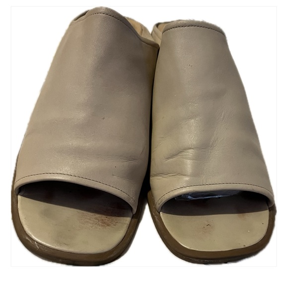 Naturalized mules - Picture 4 of 8